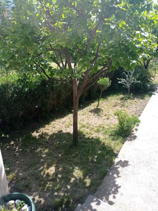 Apartment Ivan コトル エクステリア 写真
